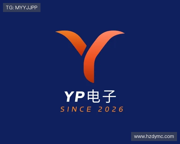 发现YP电子