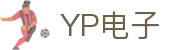 YP电子集团股份有限公司